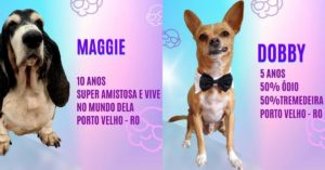 Big Dog Brasil - Maggie e Dobby